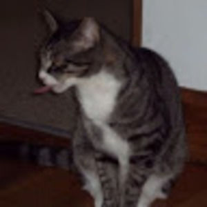 Meet your Posher, Sue